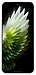 Tecno Spark 40 Pro 8/256GB