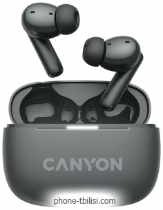 Canyon TWS-10