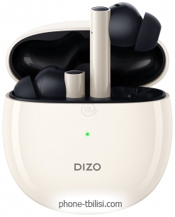 Dizo GoPods