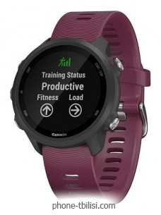 Garmin Forerunner 245