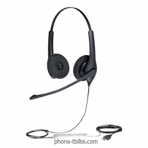 Jabra Biz 1500 Duo USB