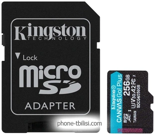 Kingston Canvas Go! microSDXC 256GB SDCG4/256GB ( )