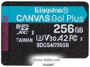 Kingston Canvas Go! microSDXC 256GB SDCG4/256GBSP