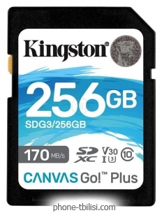 Kingston SDG3/256GB