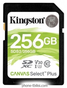 Kingston SDS2/256GB