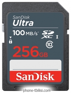 SanDisk SDSDUNR-256G-GN3IN