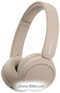 Sony WH-CH520 ()