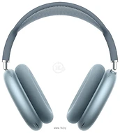 Apple AirPods Max (� �������� USB Type-C, �����)