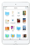 Apple iPad mini (2019) 256Gb Wi-Fi