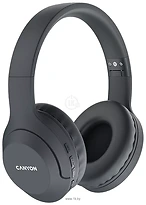Canyon BTHS-3 (������)