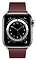 Apple Watch Series 6 GPS + Cellular 40mm Stainless Steel Case with Modern Buckle