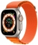 Apple Watch Ultra LTE 49  ( ,    L)