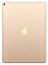 Apple iPad Pro 12.9 (2017) 256Gb Wi-Fi + Cellular