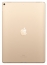 Apple iPad Pro 12.9 (2017) 256Gb Wi-Fi