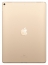 Apple iPad Pro 12.9 (2017) 512Gb Wi-Fi + Cellular