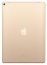 Apple iPad Pro 12.9 (2017) 64Gb Wi-Fi