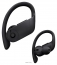 Beats Powerbeats Pro