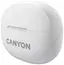 Canyon TWS-8 ()