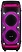 Eltronic 30-30 Dance Box 1300