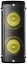 Evolution DualBass Explorer