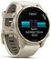 Garmin Fenix 8 Sapphire 43mm ( )