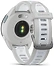 Garmin Forerunner 165