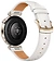 Huawei Watch GT 6 41mm (������� �������)