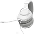 JBL Quantum 100M2 (�����)