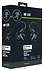 Mackie MP-220