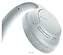 Sony WH-CH710N (�����)