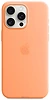 Apple MagSafe Silicone Case  iPhone 15 Pro Max ( )
