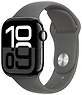 Apple Watch Series 10 LTE 42  ( ,    M/L)