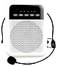 LAudio WS-VA030