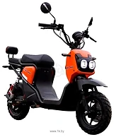 AVM.Plus Zoomer (���������)