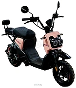 AVM.Plus Zoomer (�������)