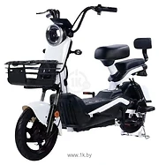 SHTENLI Model 21 Performance