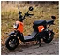 AVM.Plus Zoomer ()