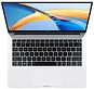 HONOR MagicBook X14 2024 FRI-H56 (5301AJWP)