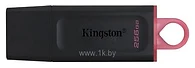 Kingston DataTraveler Exodia 256GB